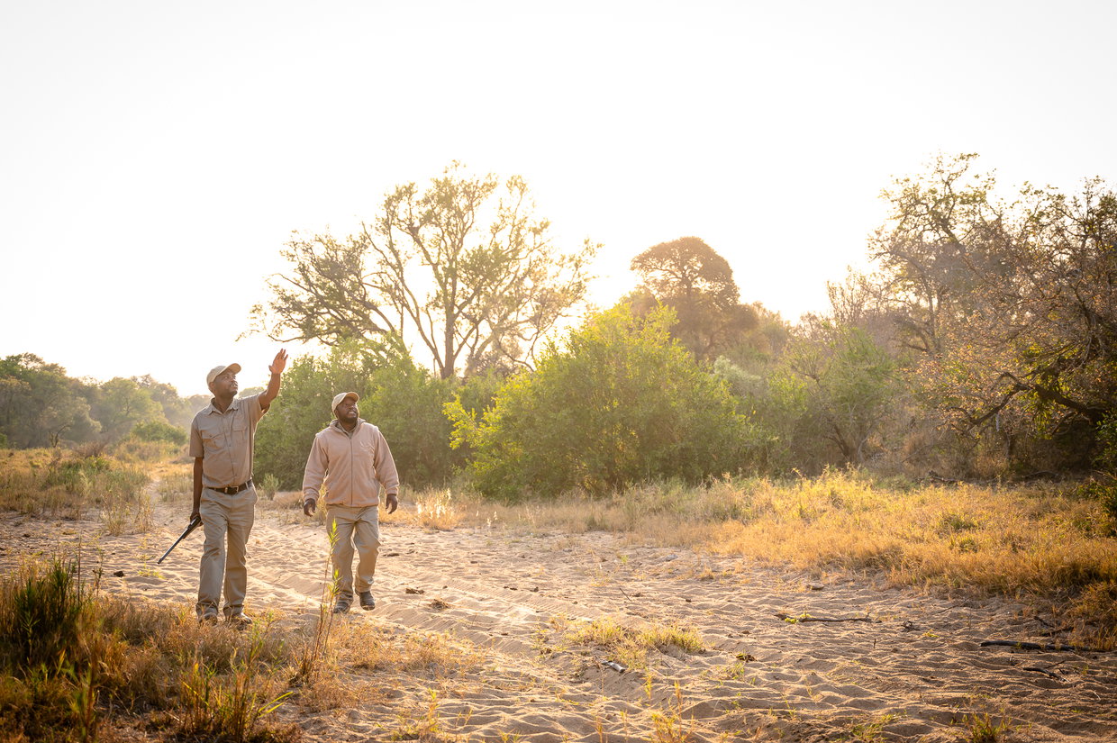 Ranger and tracker, Lucan & Dan in the riverbed, Shimungwe, Thornybush Game Reserve