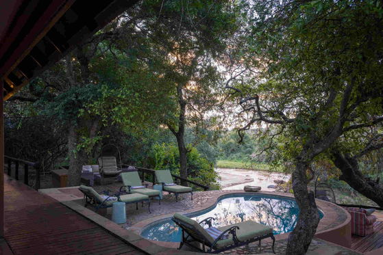 Swimming pool, Shimungwe Lodge, Greater Kruger Park Swimming pool, Shimungwe Lodge, Greater Kruger Park