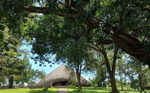 Cultural Day Tours from Kampala