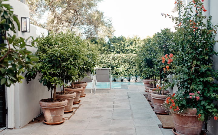 Facilities and Services