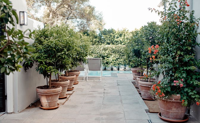 Facilities and Services
