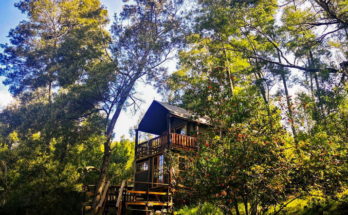 Family Tented Treehouse