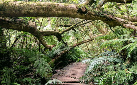 Hiking Trails