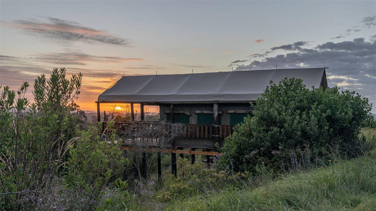 Double Tented Treehouses - Fernhill Guest Farm