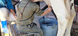 15% April Farmcation