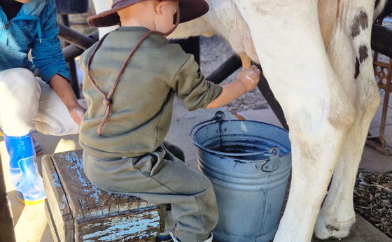 15% April Farmcation