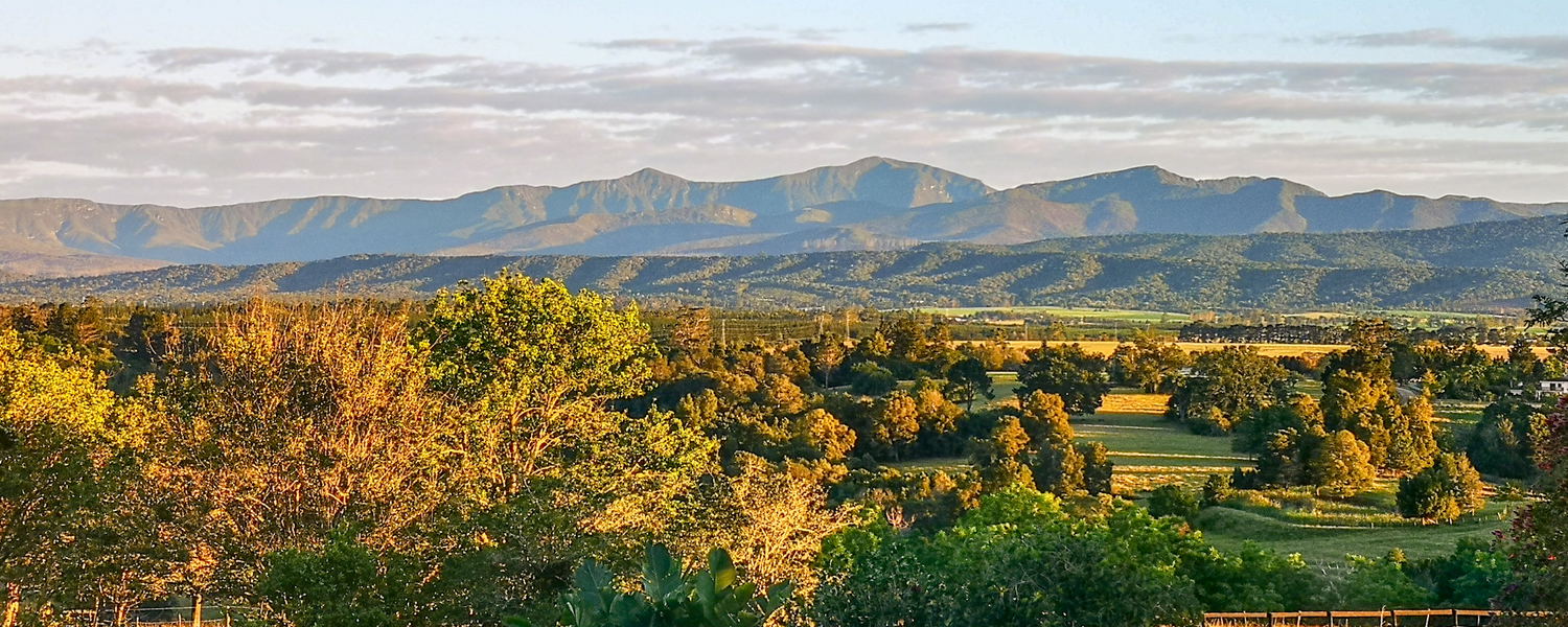 Mountain Views