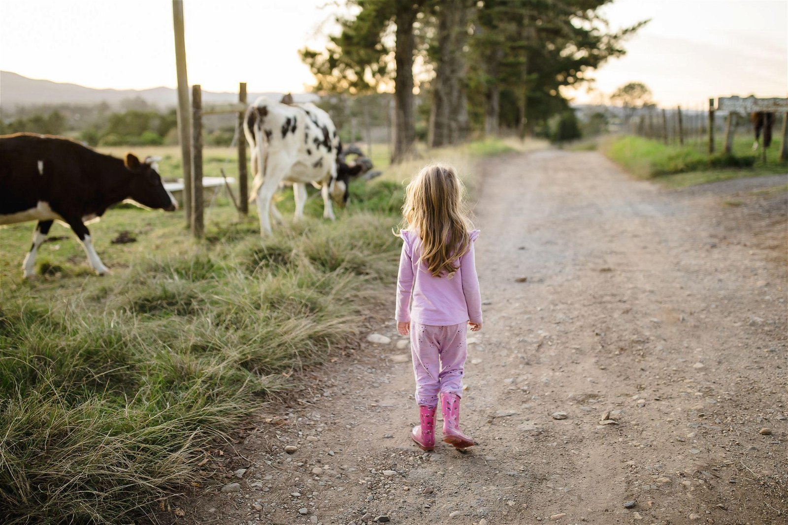 Welcome to Fernhill Guest Farm