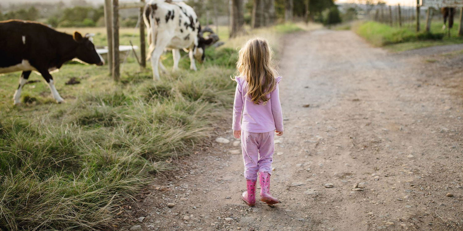 Welcome to Fernhill Guest Farm
