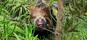 Last Minute Discount