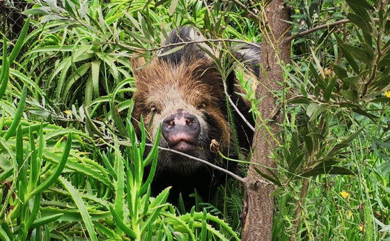 Last Minute Discount