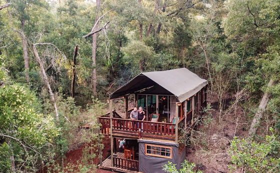 Small Family Tented Treehouse