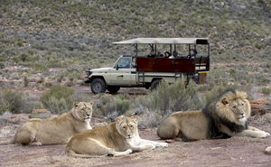 AQUILA GAME RESERVE DAG EXCURSIE