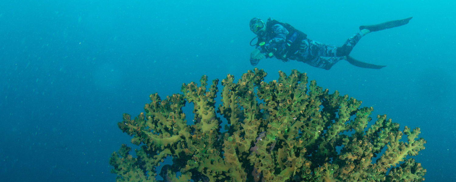 Dives Sites