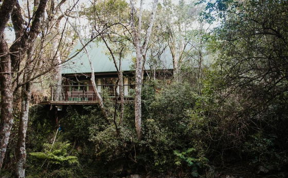 ROCKWOOD FOREST LODGE