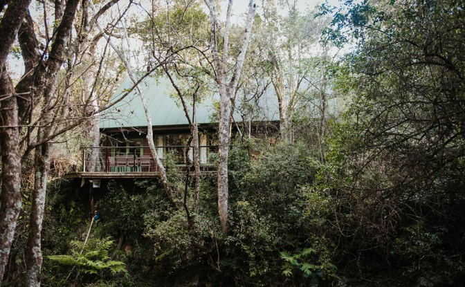 Rockwood Forest Lodge, Karkloof, Accommodation