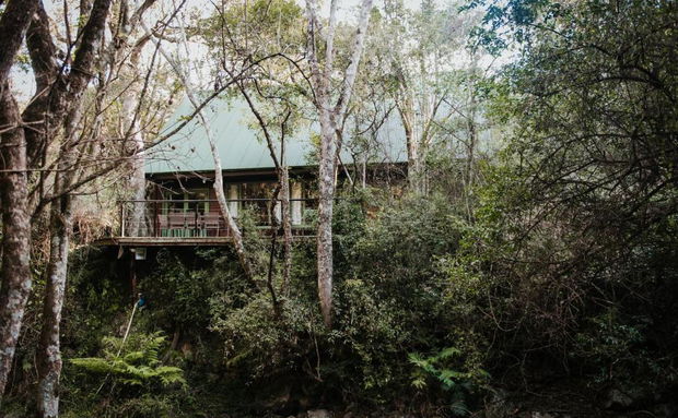 Rockwood Forest Lodge, Karkloof, Accommodation