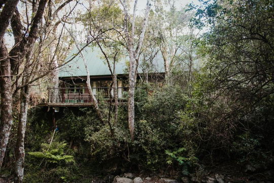 Rockwood Forest Lodge, Karkloof, Accommodation