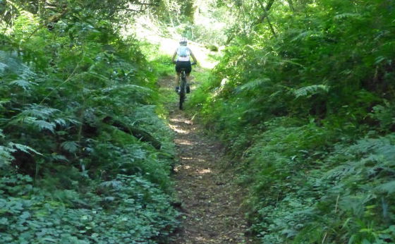 Rockwood Red MTB 20km