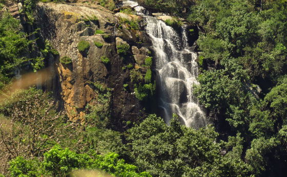Horsetail Falls & Weir Trail