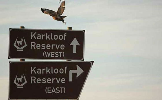 Directions from Gauteng