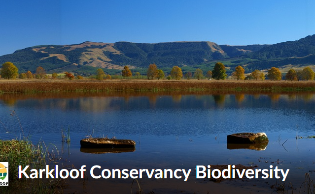 Citizen Science with iNaturalist
