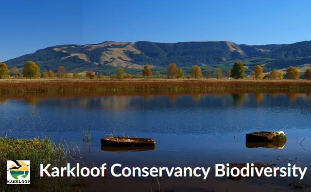 Citizen Science with iNaturalist