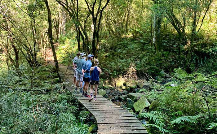 Trail Adventures