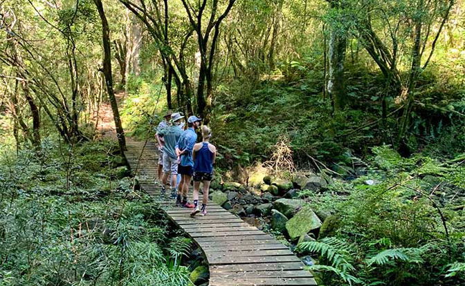 Trail Adventures