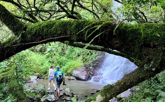 Godwini Waterfalls Trail