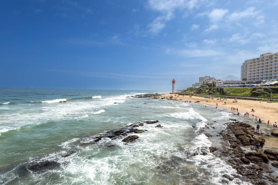 Beach and surrounding area