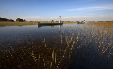7-Day Victoria Falls Chobe Okavango Delta 4 Star Safari