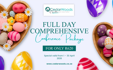 Full Day Comprehensive Conferencing Package