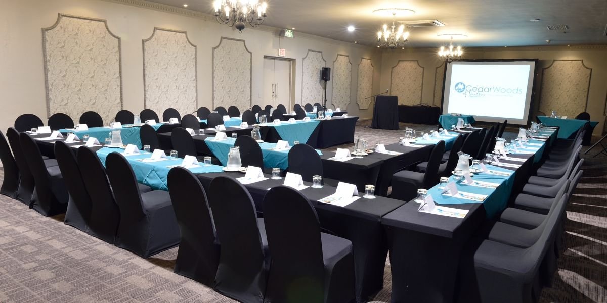 Conferencing