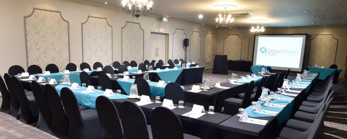 Conferencing