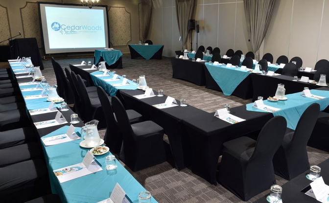 Conferencing