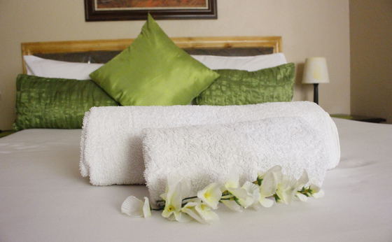 Standard Single Bedroom