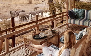 COMBINE A STAY IN CAPE TOWN WITH A BOTSWANA SAFARI ADVENTURE 