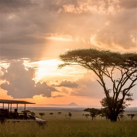 Source: ©Singita Grumeti