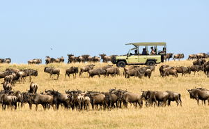 East Africa Inter-camp travel