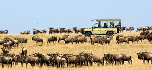 East Africa Inter-camp travel