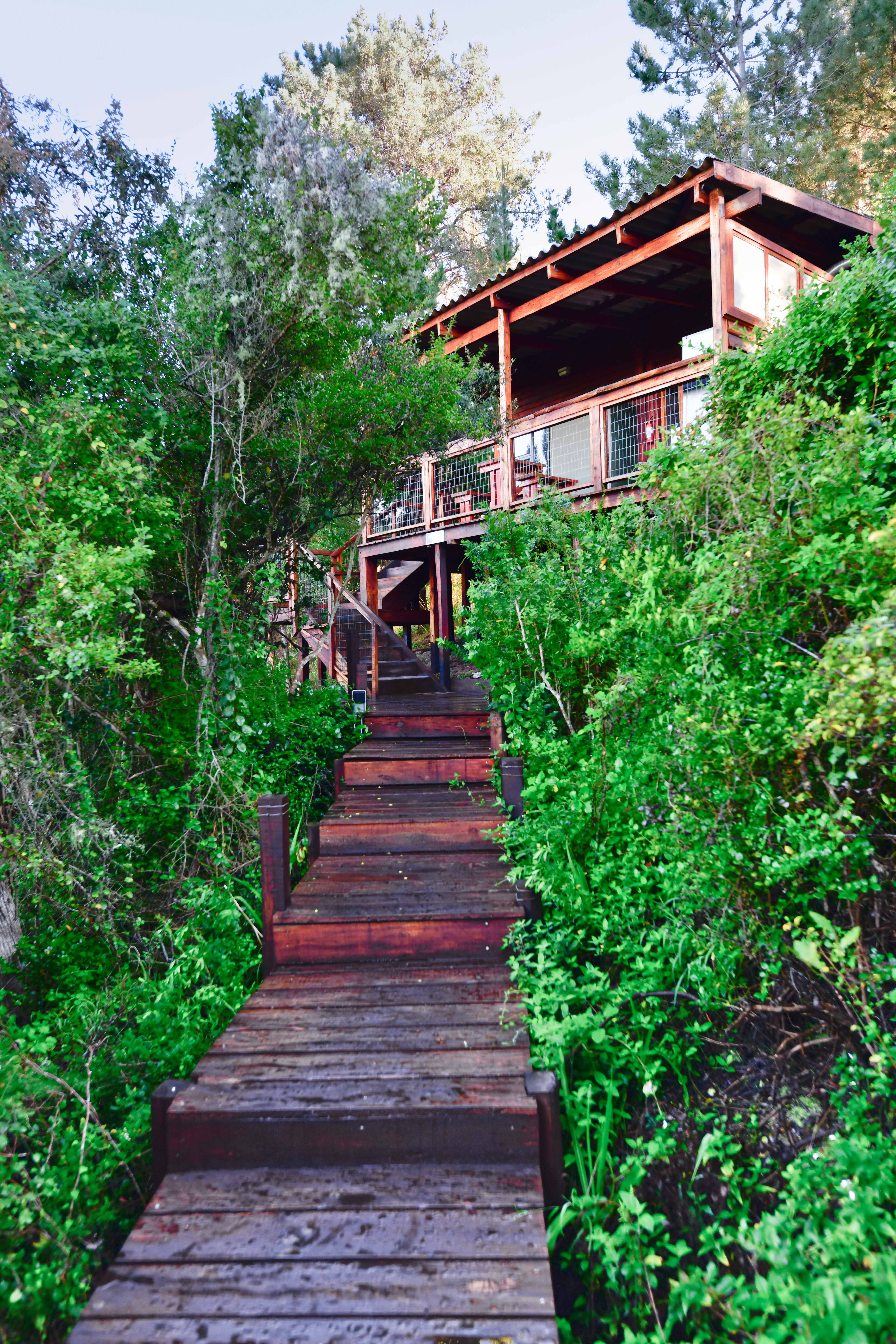 The Cabins