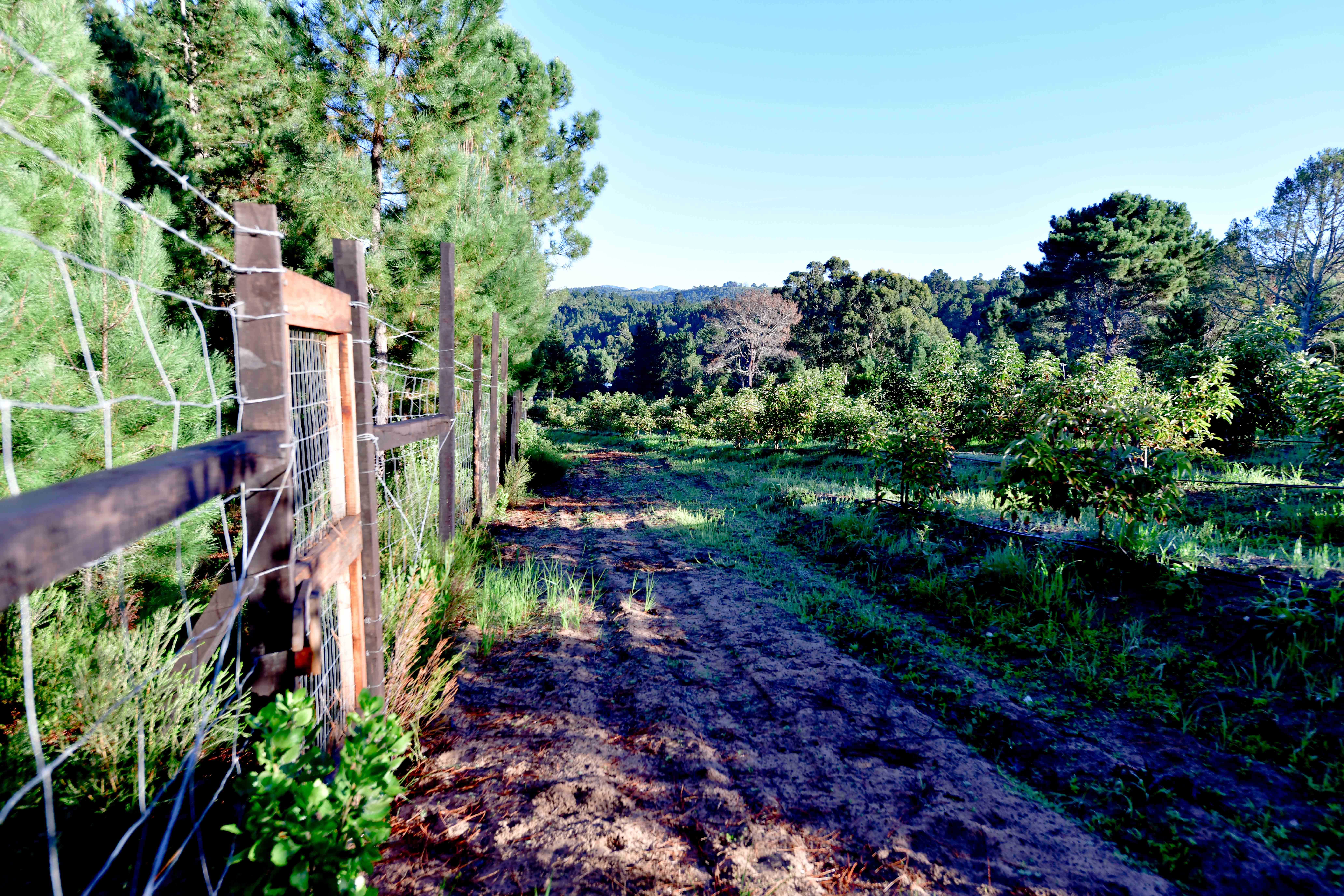 Explore our area