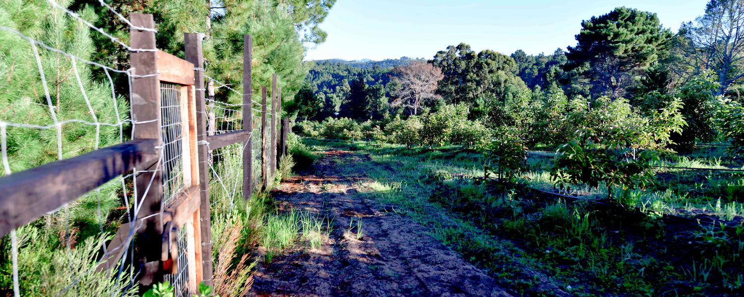 Explore our area