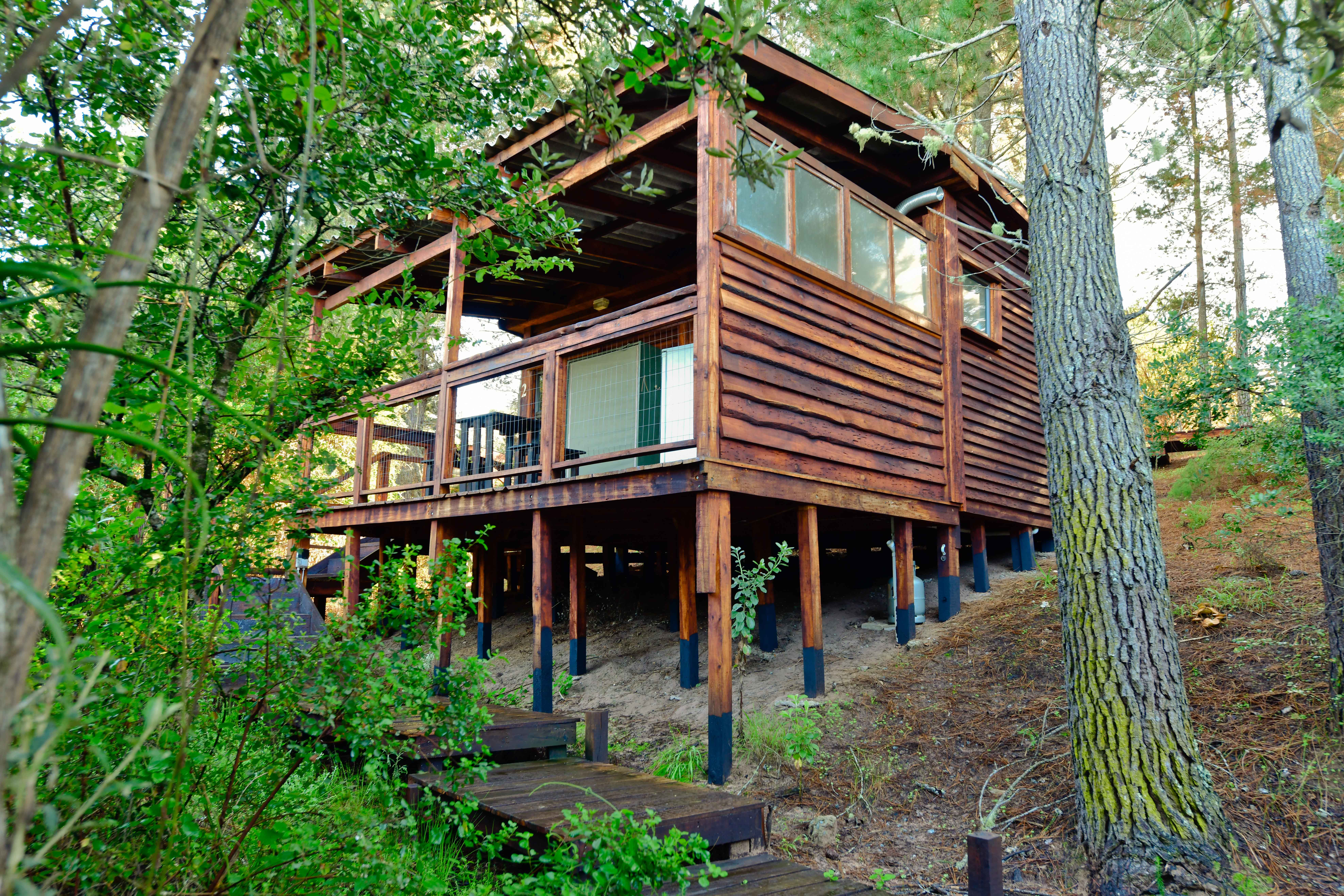 Indulge in a retreat to private secluded log cabins at Loch Haven