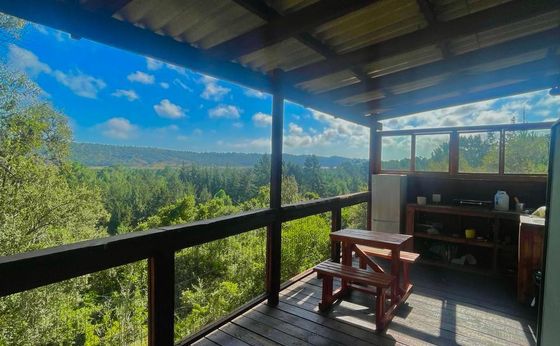 Cabin 6 Kingfisher - Honeymoon suite