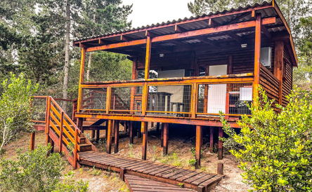 Cabin 1 Hoopoe - Standard Double Unit