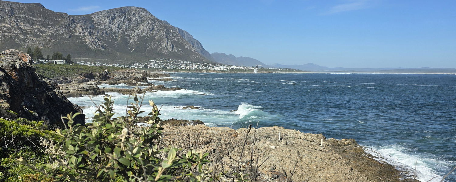 Hermanus cliff path - Fernkloof nature