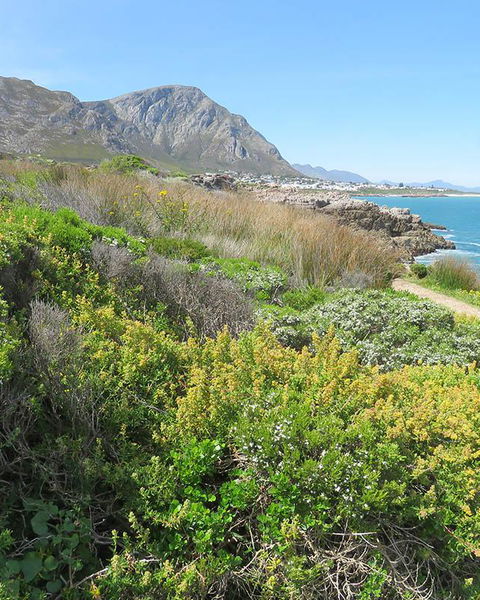 Cliff Path