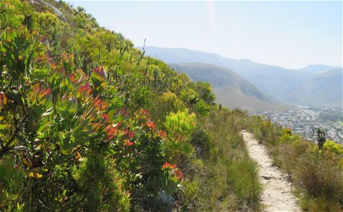 Fernkloof Nature Reserve